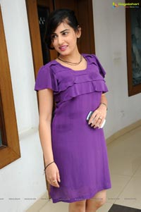 Veda Archana at Santosham Awards 2012 Press Meet