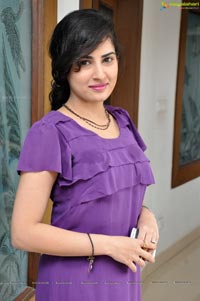 Veda Archana at Santosham Awards 2012 Press Meet