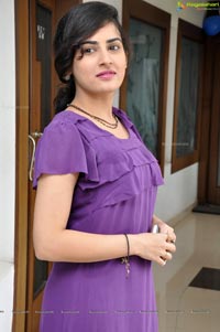 Veda Archana at Santosham Awards 2012 Press Meet