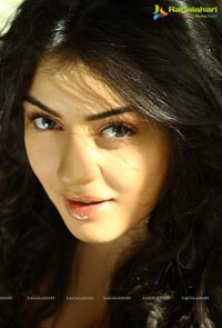 Hansika turns 21 Years