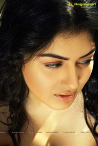 Hansika turns 21 Years