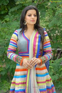 Madhu Sharma in Colorful Dress Photos