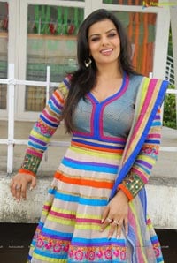 Madhu Sharma in Colorful Dress Photos