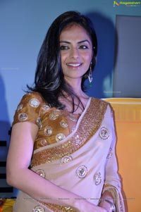 Richa Pallod in Saree Photos