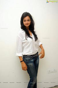 Adda Heroine Shanvi