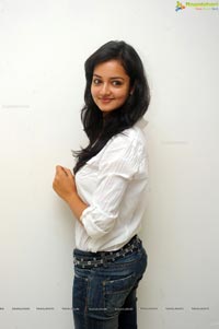 Adda Heroine Shanvi