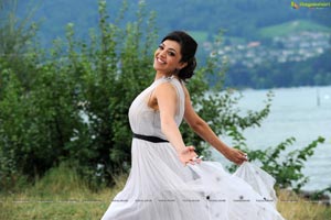 All in All Azhagu Raja Heroine Kajal Exclusive Photos