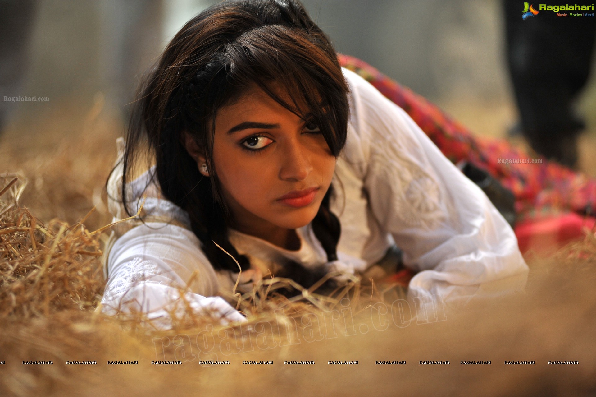 Amala Paul (High Definition)