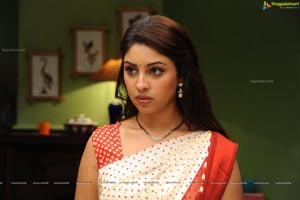 Richa Gangopadhyay in Saree Stills