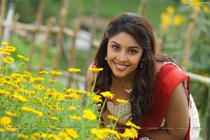 Richa Gangopadhyay in Saree Stills