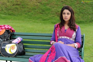 Richa Gangopadhyay in Saree Stills