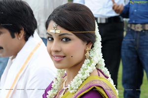 Richa Gangopadhyay in Saree Stills