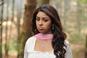 Richa Gangopadhyay in Saree Stills