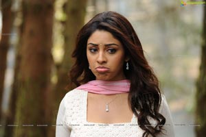 Richa Gangopadhyay in Saree Stills