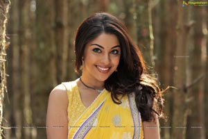 Richa Gangopadhyay in Saree Stills