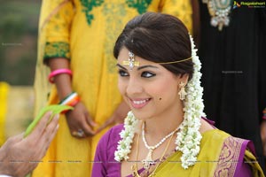 Richa Gangopadhyay in Saree Stills