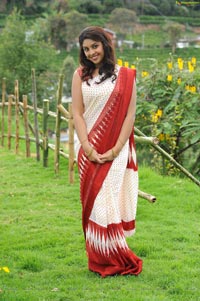 Richa Gangopadhyay in Saree Stills