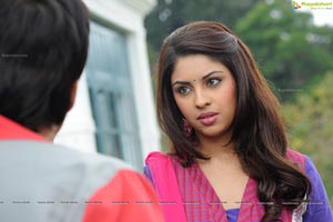 Richa Gangopadhyay in Saree Stills