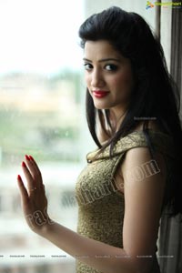 Malayalam Actress Richa Panai Photos