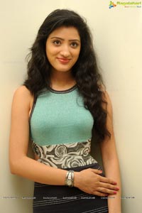 Richa Panai at Mahesh Audio Release