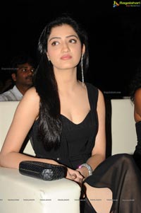 Richa Panai @ Tollywood Channel Launch