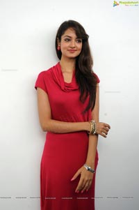 Shanvi @ Adda Successmeet