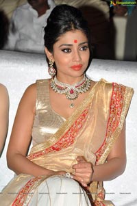 Shriya @ Tollywood Channel Launch