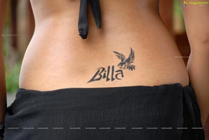 Anushka in Billa Hot