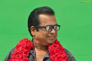 Comedian Brahmanandam Photos