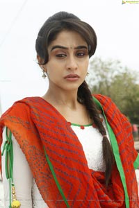 Heroine Regina HD Photos