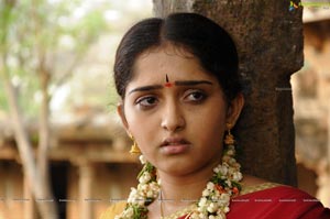 Sanusha Santhosh in Half Saree