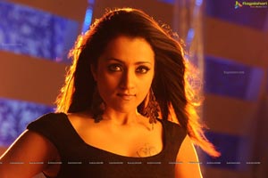 Trisha in Dammu