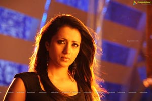 Trisha in Dammu