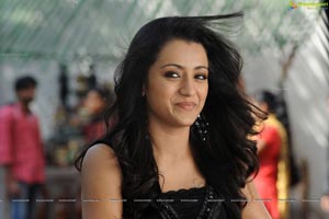 Trisha in Dammu