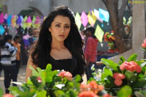 Trisha in Dammu