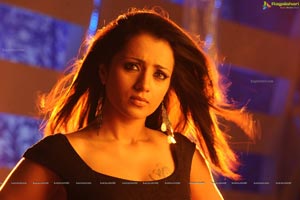 Trisha in Dammu