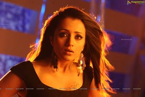 Trisha in Dammu