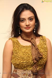 Heroine Nikitha Narayan