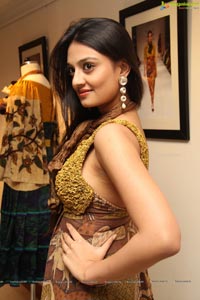 Heroine Nikitha Narayan