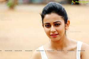 Loukyam Heroine Rakul Preet Singh