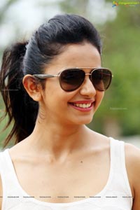 Loukyam Heroine Rakul Preet Singh