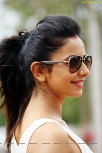 Loukyam Heroine Rakul Preet Singh