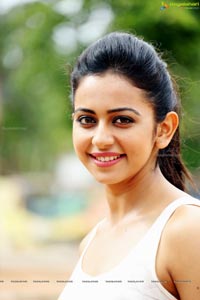 Loukyam Heroine Rakul Preet Singh