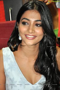 Oka Laila Kosam Pooja Hegde