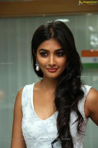 Oka Laila Kosam Pooja Hegde