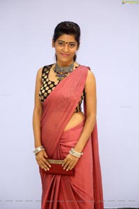 Gayathri Gupta in Saree