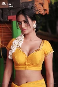 Poonam Pandey Malini and Co