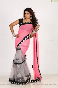 Sameera Sherief in Saree