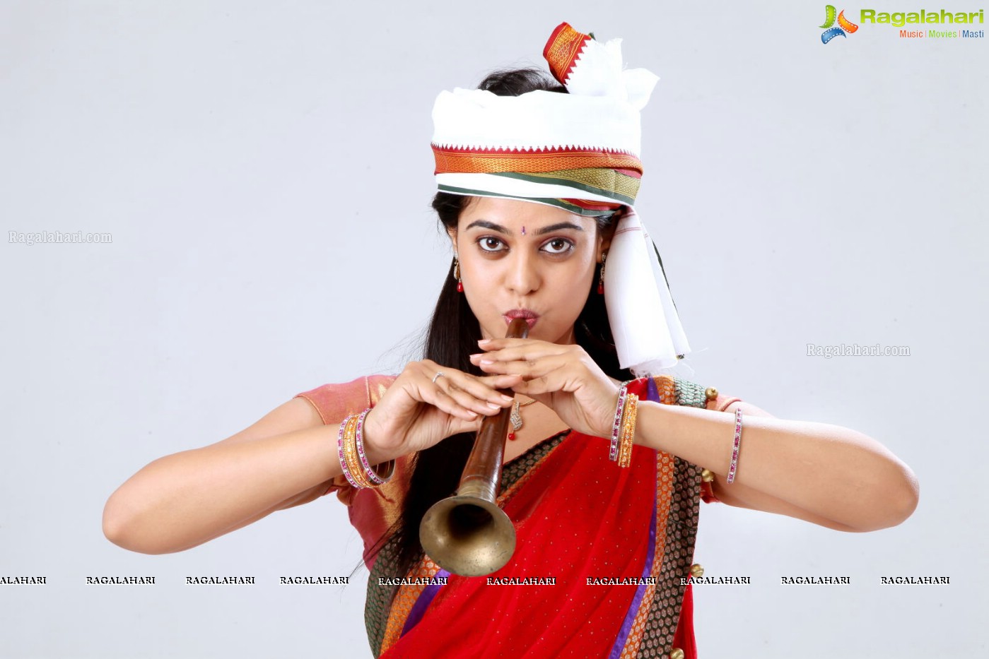 Bindu Madhavi (Posters)