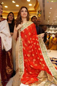 Tamannaah Bhatia in Saree